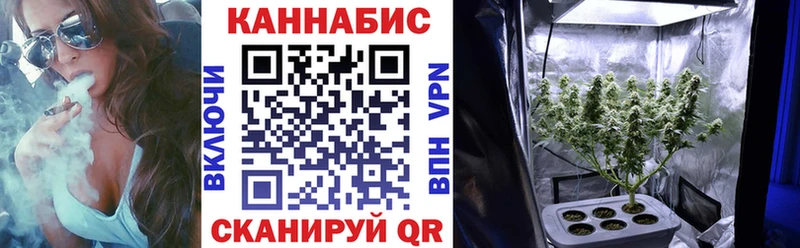 Марихуана Amnesia mega ТОР Красный Холм купить сайты